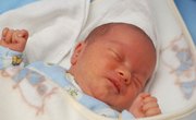 Top 10 Medical Schools for Neonatal Nursing