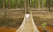 YMCA Summer Camp Scholarships