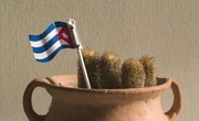 Cuba Nursing Colleges
