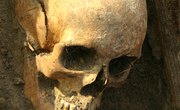 How to Make Aztec Whistles of Death