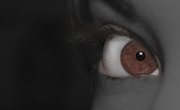 Online Spy Training