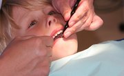 How to Become a Dental Hygienist in Calgary
