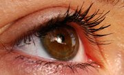 How to Test the Visual Memory