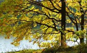 How to Explain the Four Seasons of Spring, Summer, Fall and Winter to a Child