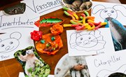 Activities for Kids on Invertebrates and Vertebrates