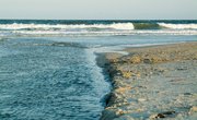 List of Colleges on the East Coast of North Carolina