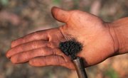 The Importance of Gunpowder as an Invention
