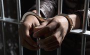 Effects of Crime on Society