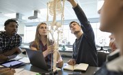 Easy Ways to Remember the Systems of the Body