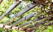 The History of Brush Arbors