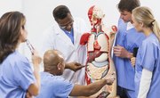 How to Donate Your Body to Science for Money