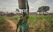 The Importance of Farming to the Economy in Ancient Ghana