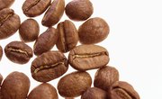 How Coffee Consumption Affects College Students' Tests