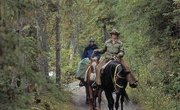 Park Ranger Schools