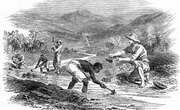 What Factors Were Most Important in Drawing Americans to the West in the 1800s?