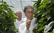 List of Courses Needed in College for Agricultural Engineers