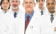Which Major Is Better for Med School: Biology or Biochemistry?