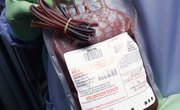 Religious Beliefs & Phlebotomy