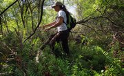 What Majors Can You Get a Degree in to Become a Wildlife Biologist?