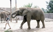 University List With Zoo & Aquarium Science Master Programs