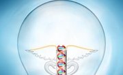 Do You Need a Master's Degree or Ph.D. to Become a Geneticist?