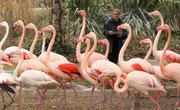 Florida Colleges That Offer Zoology