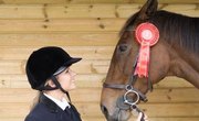 Pennsylvania Colleges That Have Equestrian Teams