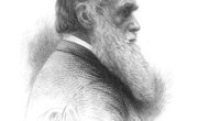 What Must Happen for Scientific Theories to Be Accepted as Valid?