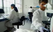 Can I Get a Master's in Chemistry Without the Bachelor's?