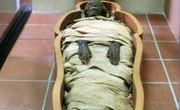 What Artifacts Help Show the Egyptians' Beliefs in the Afterlife?
