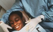 What Kind of Bachelor's Degree Do You Need to Go Into Dentistry?