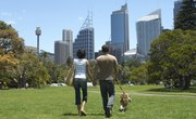 Differences Between City & Country Life