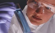 The Best Bachelor of Science Degrees in Ontario, Canada
