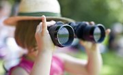 Field Trip Ideas for Girl Scouts