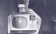 American Cultural Expressions of the 1950s
