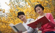 How to Study English Literature
