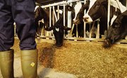 What Is the Meaning of Agricultural Arts?