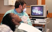 What Is the Math Requirement for Dentists?