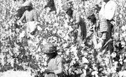 What Political Group Was Benjamin Banneker Aligned With?