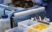 Best Colleges for a Pathology Assistant