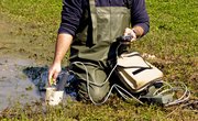 The Best Wildlife Biology Schools