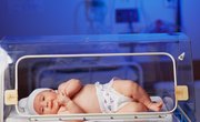 Do You Major in Chemistry to Become a Neonatologist?