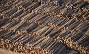Renewable & Nonrenewable Resources for the Pacific States