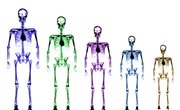 Certified Densitometry Technologist Schools