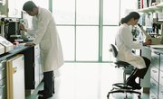 What is the Difference in PhD & DSC Programs?