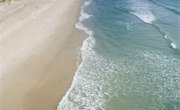 Colleges in the Coastal Plains of North Carolina