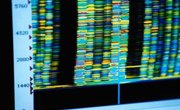 Top Computational Biology Undergraduate Programs