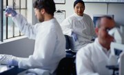 College Classes Required to Study Genetics