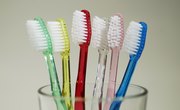 Top Pre-Dentistry Undergraduate Colleges