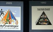 How to Make Food Pyramids for a School Project